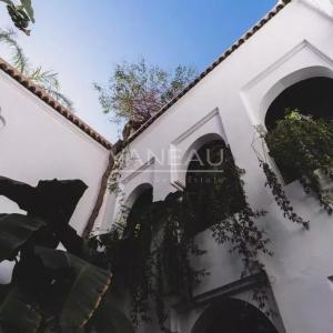 Magnifique riad traditionel au cœur de la médina