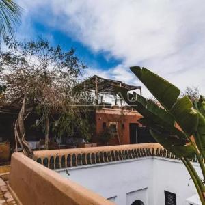 Magnifique riad traditionel au cœur de la médina