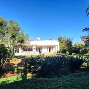 Vente terrain / villa à Polo de 1 802 m²