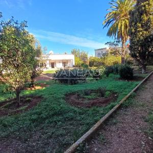 Vente terrain / villa à Polo de 1 802 m²