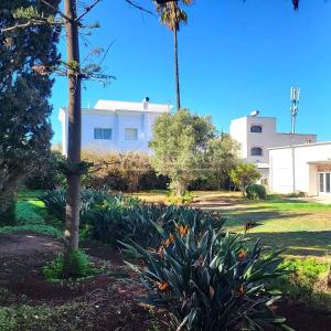 Vente terrain / villa à Polo de 1 802 m²