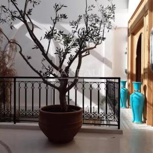 Beau riad 4 chambres  115 m2 à Sidi Mimoun