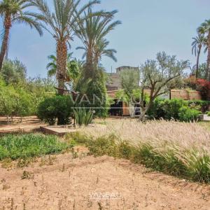 ****Villa Palmeraie****