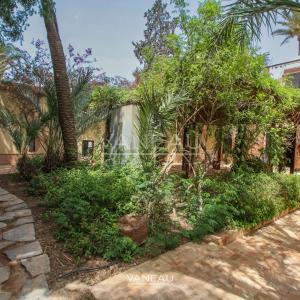 ****Villa Palmeraie****