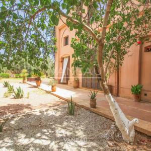 ****Villa Palmeraie****