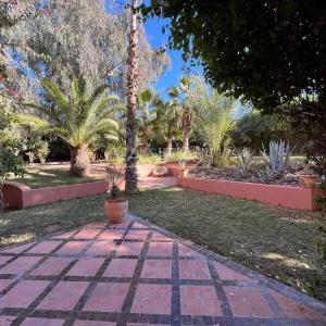 Grand appartement en duplex de trois chambres à la Palmeraie