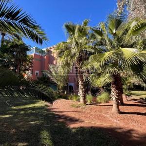 Grand appartement en duplex de trois chambres à la Palmeraie