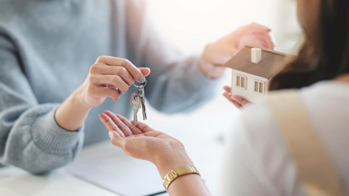 Vaneau maroc agence immobilière