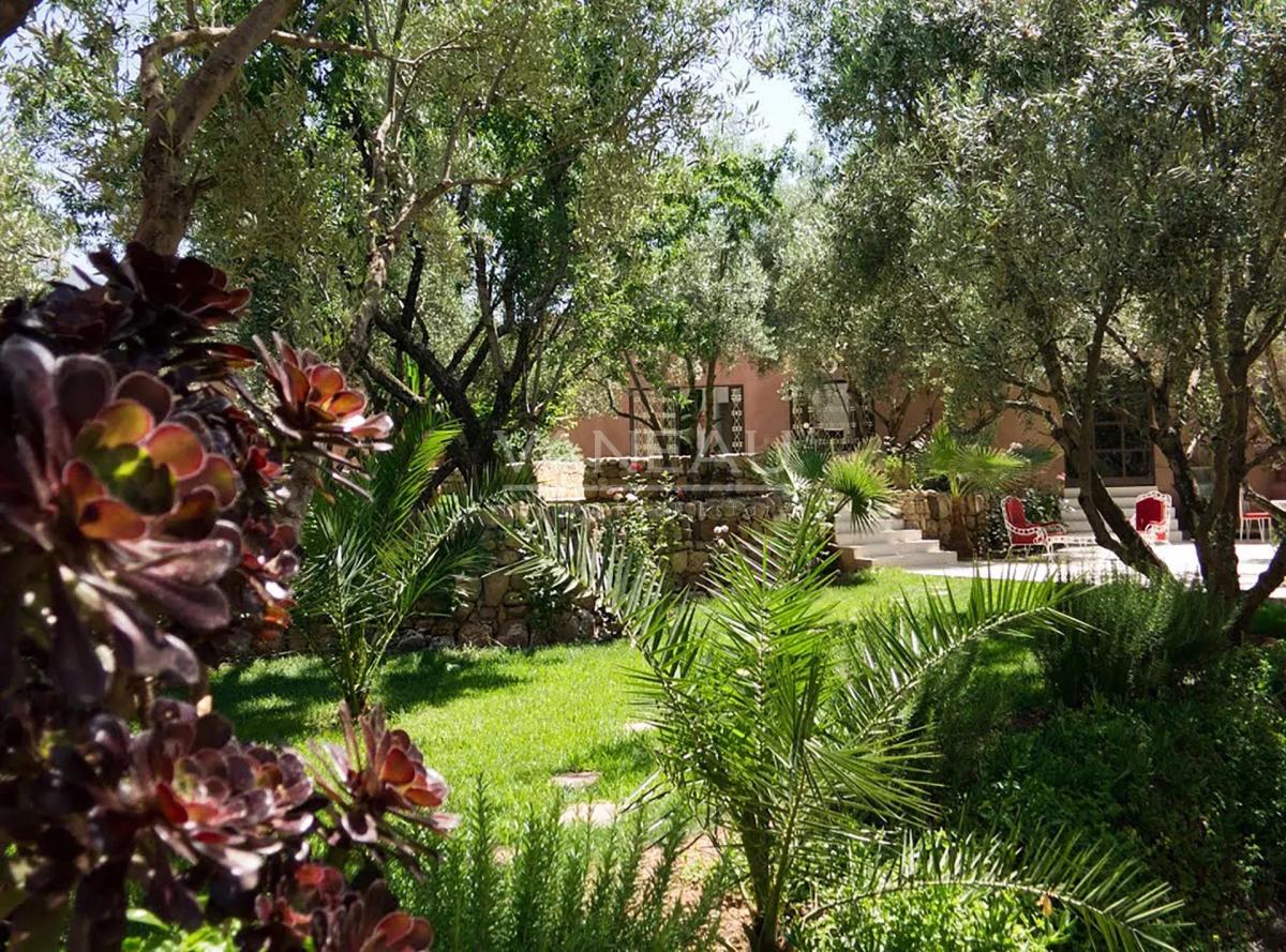 Superbe Ecolodge/Maison d'hôte au coeur du haut Atlas