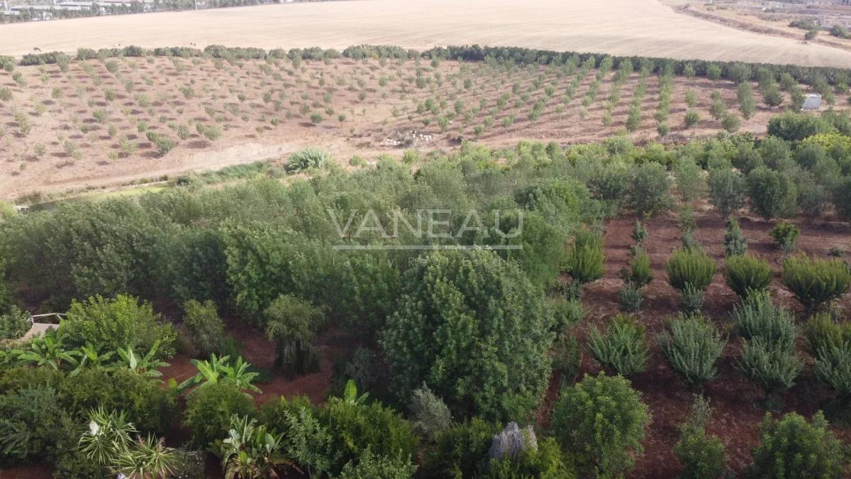 Maison d'hôte à vendre à Benslimane Maroc