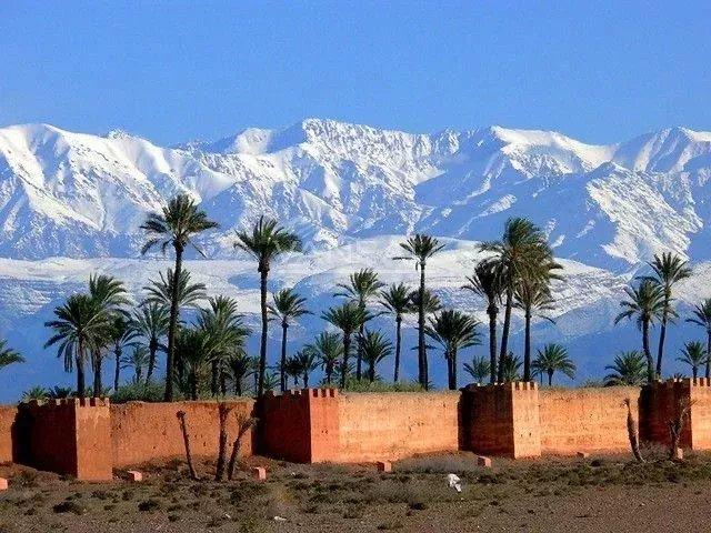 **À Vendre : Terrain Titré à Marrakech - Opportunité Investissem