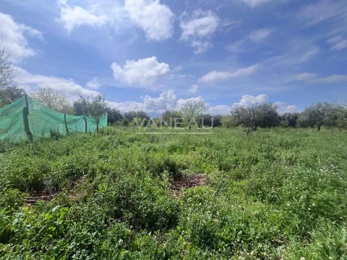 **** Terrain de culture Bio certifié et sa ferme ***