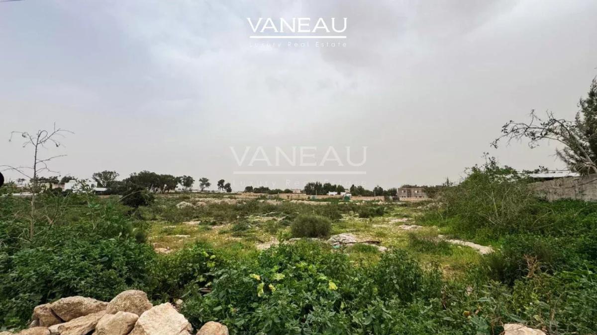TERRAIN TITRÉ À LA VENTE – RARE À GHAZOUA