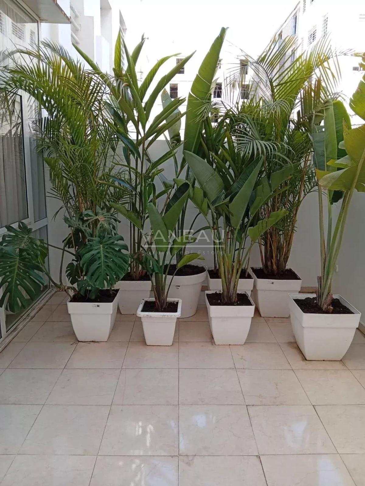 Appartement meublé avec grande terrasse à louer