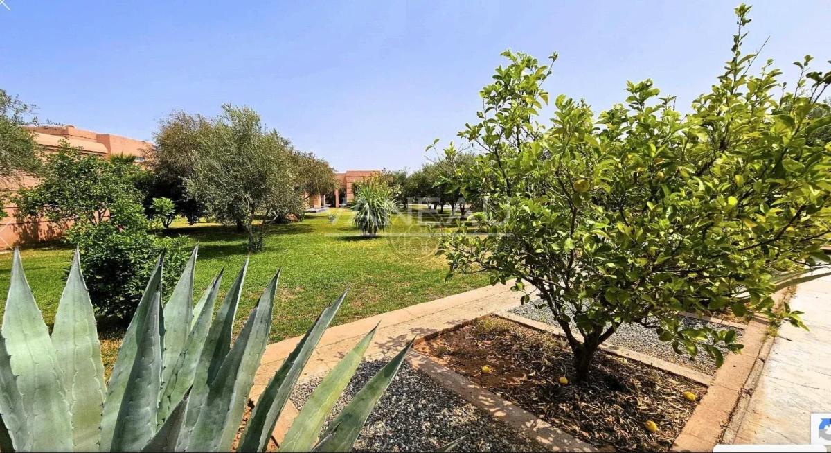 Beau Domaine a vendre avec AVNA , Sidi Abdelghiat