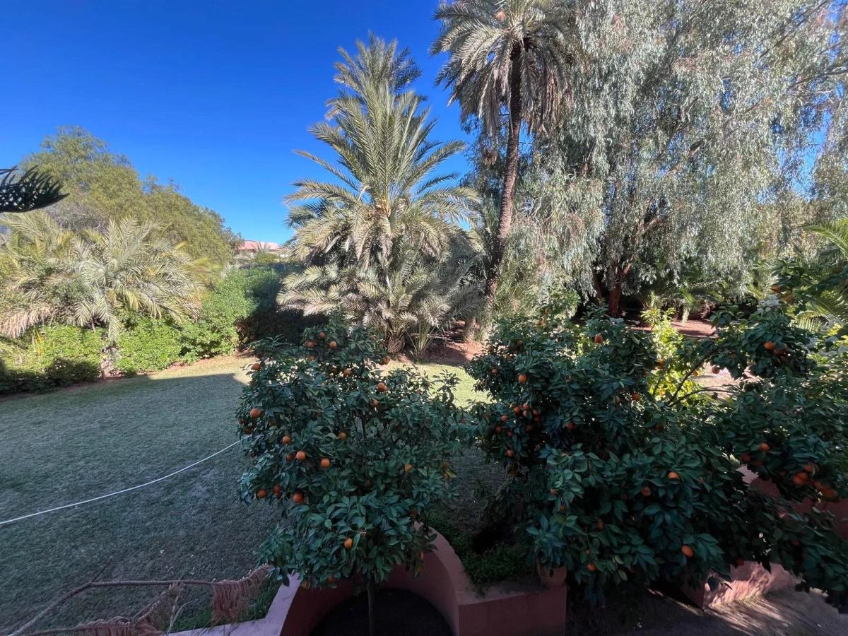Grand appartement en duplex de trois chambres à la Palmeraie