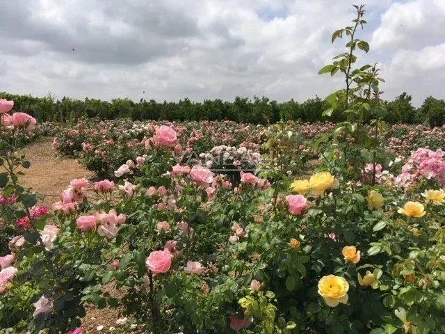 Propriété Exceptionnelle de 1000m2, 20Hectares de terrain