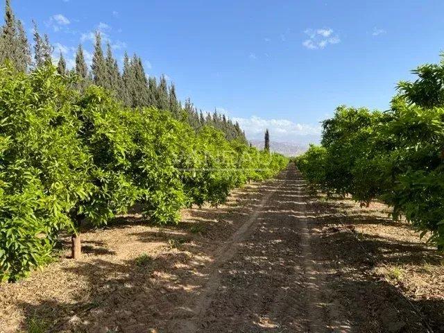 Propriété Exceptionnelle de 1000m2, 20Hectares de terrain