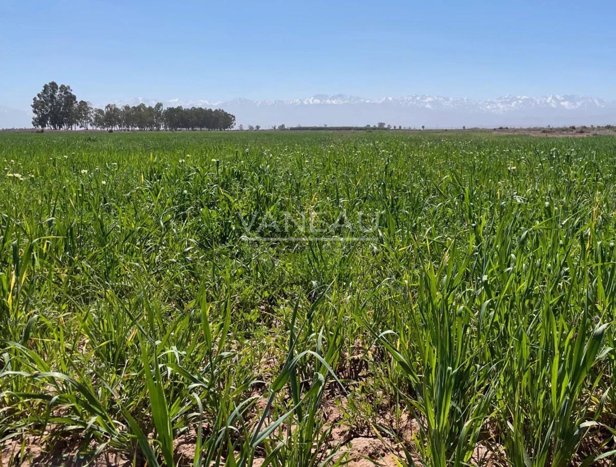 ****Route de Tahanaout Terrain constructible***